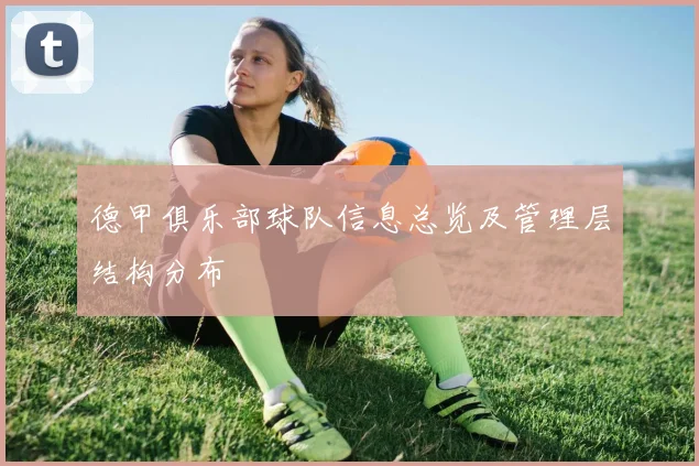 德甲俱乐部球队信息总览及管理层结构分布