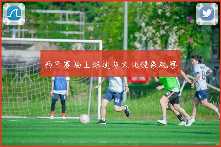 西甲赛场上球迷与文化现象观察