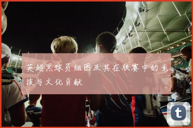 英超黑球员组图及其在联赛中的竞技与文化贡献